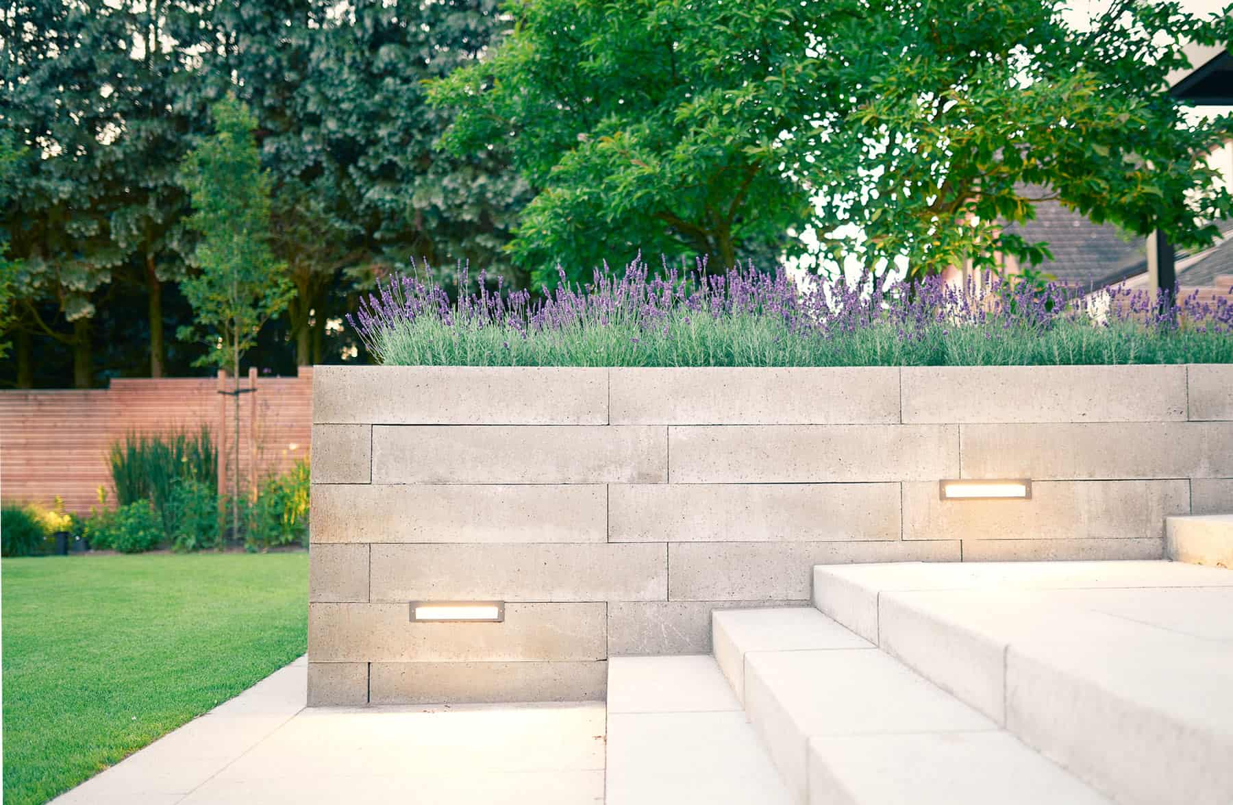 Gartenmauer bauen - Moderne Steintreppe im Außenbereich mit integrierten Wandleuchten, die zu einem erhöhten Beet führt, das mit Lavendel und Grünpflanzen bepflanzt ist; im Hintergrund ein üppiger Rasen und Bäume.